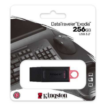 FLASH MEMORY 256GB